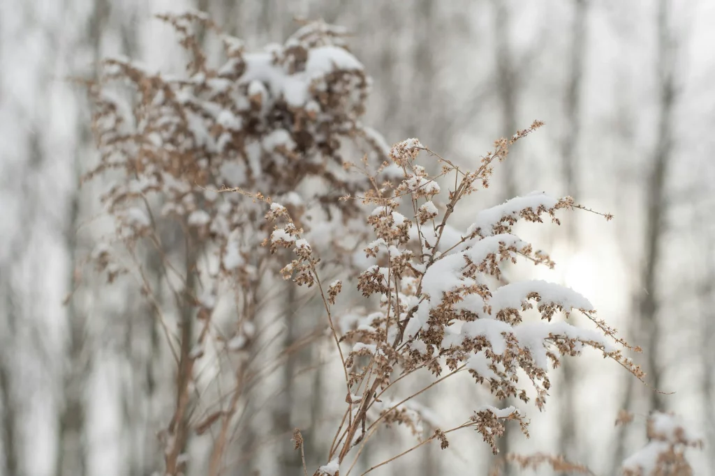 Gut vorbereitet in den Winter