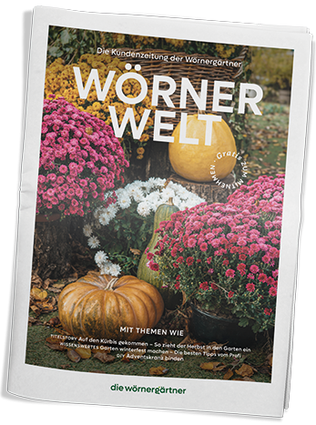 Ausgabe #1