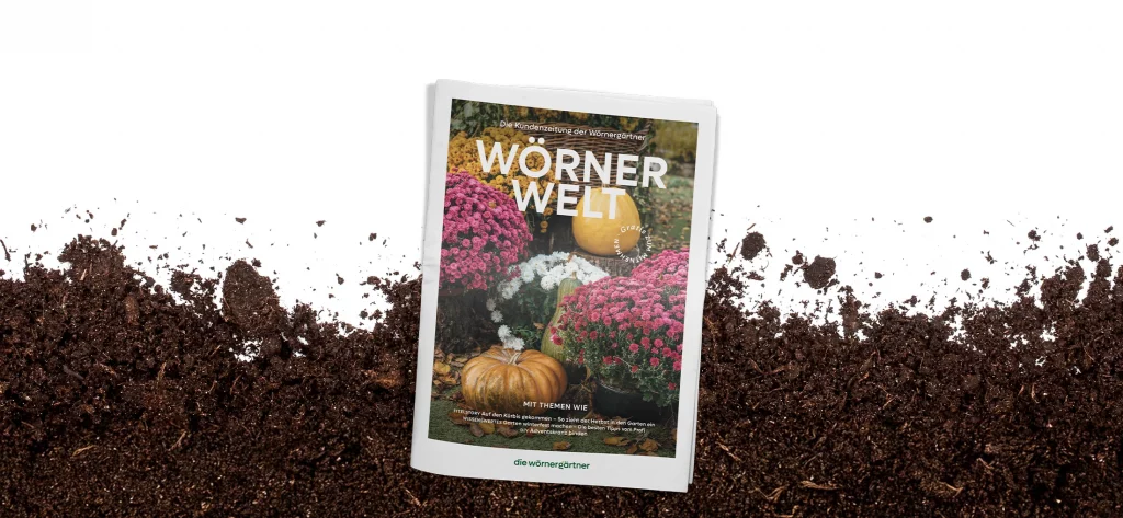 Ausgabe #1