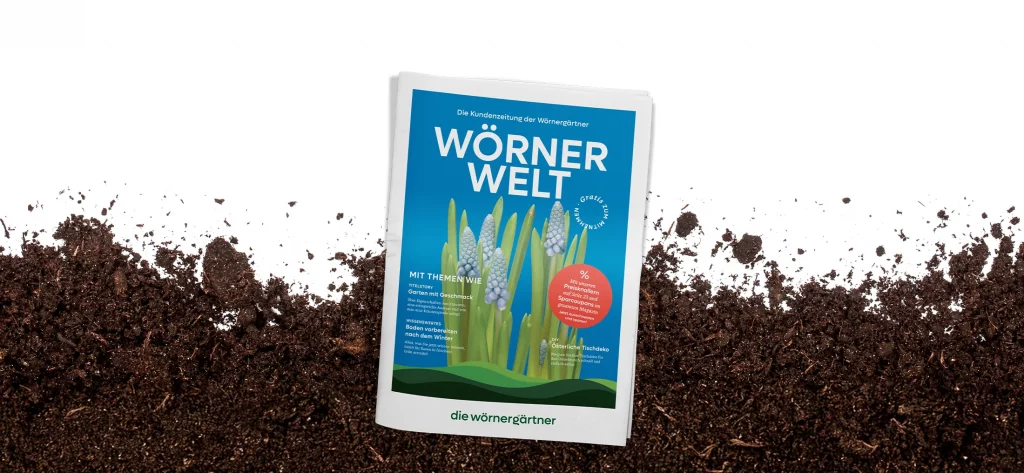 Ausgabe #2