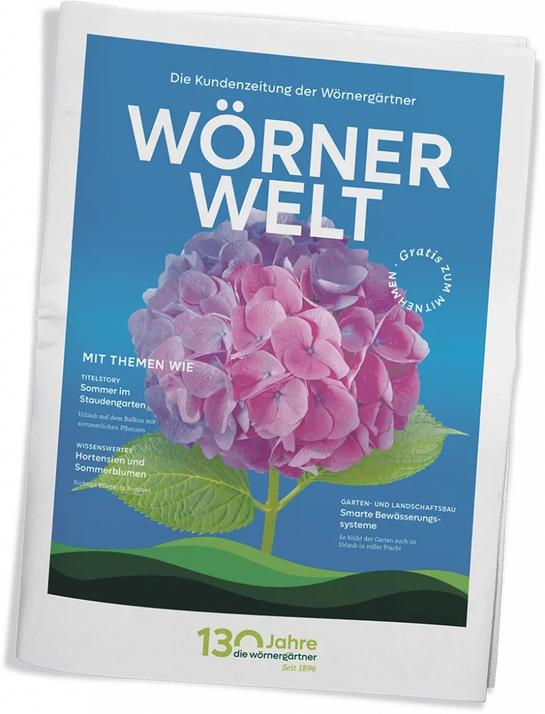 Ausgabe #3